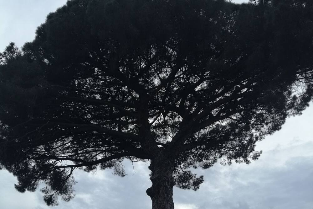 Photo of Others in Giarre