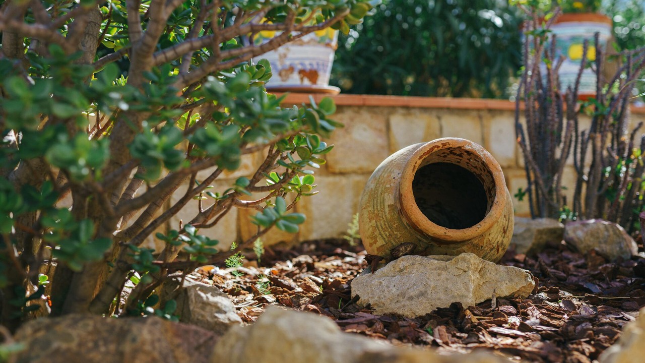 Photo of Outdoor in Mazzaforno