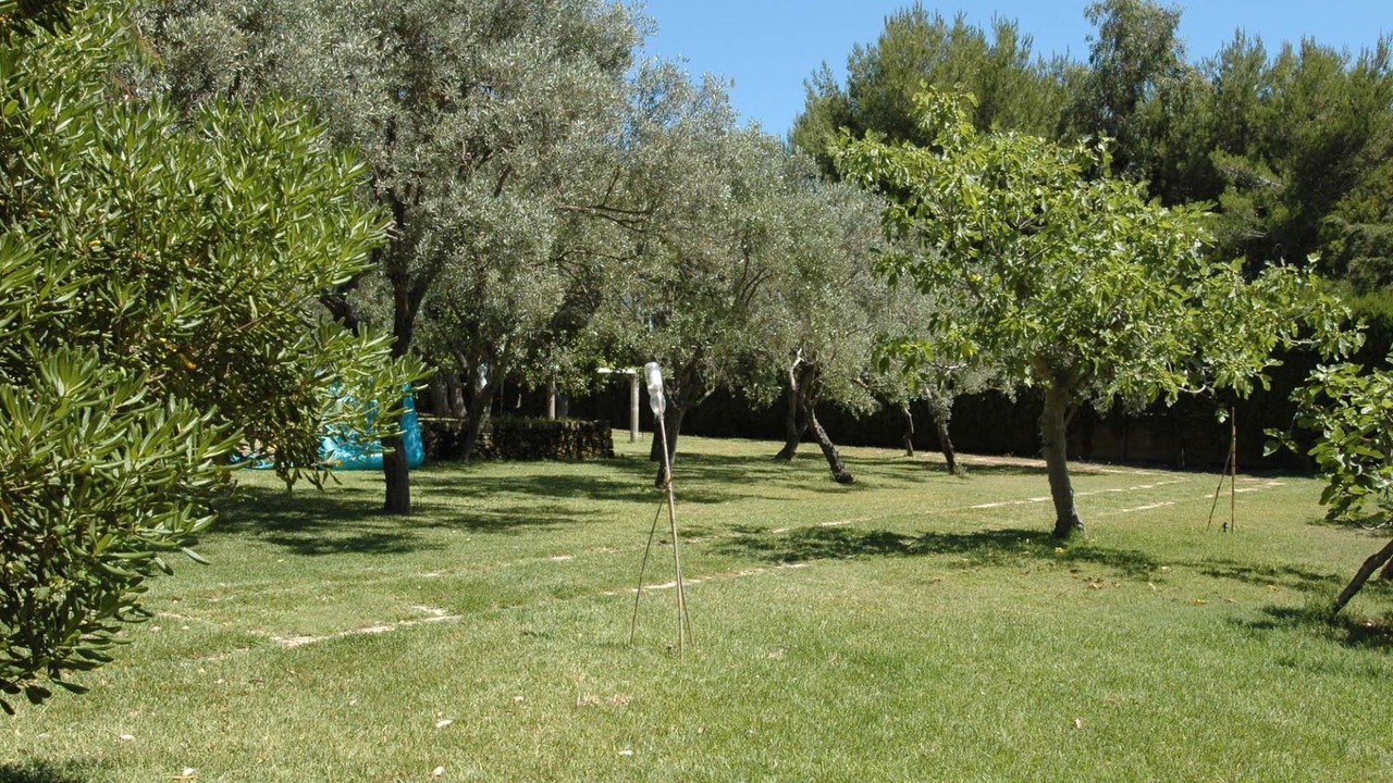 Photo of Outdoor in Punta Milocca