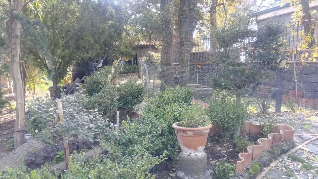 Photo of Outdoor in Biancavilla