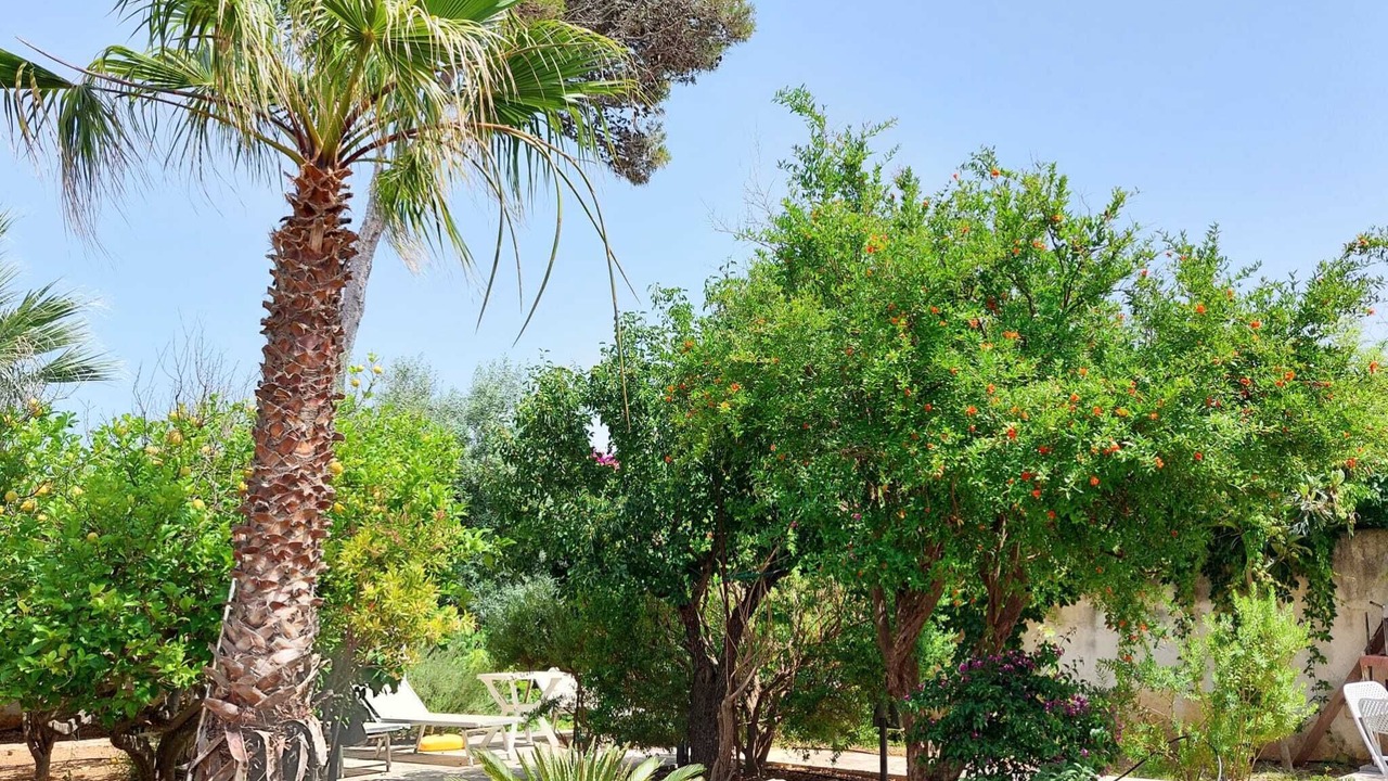 Photo of Outdoor in Valderice