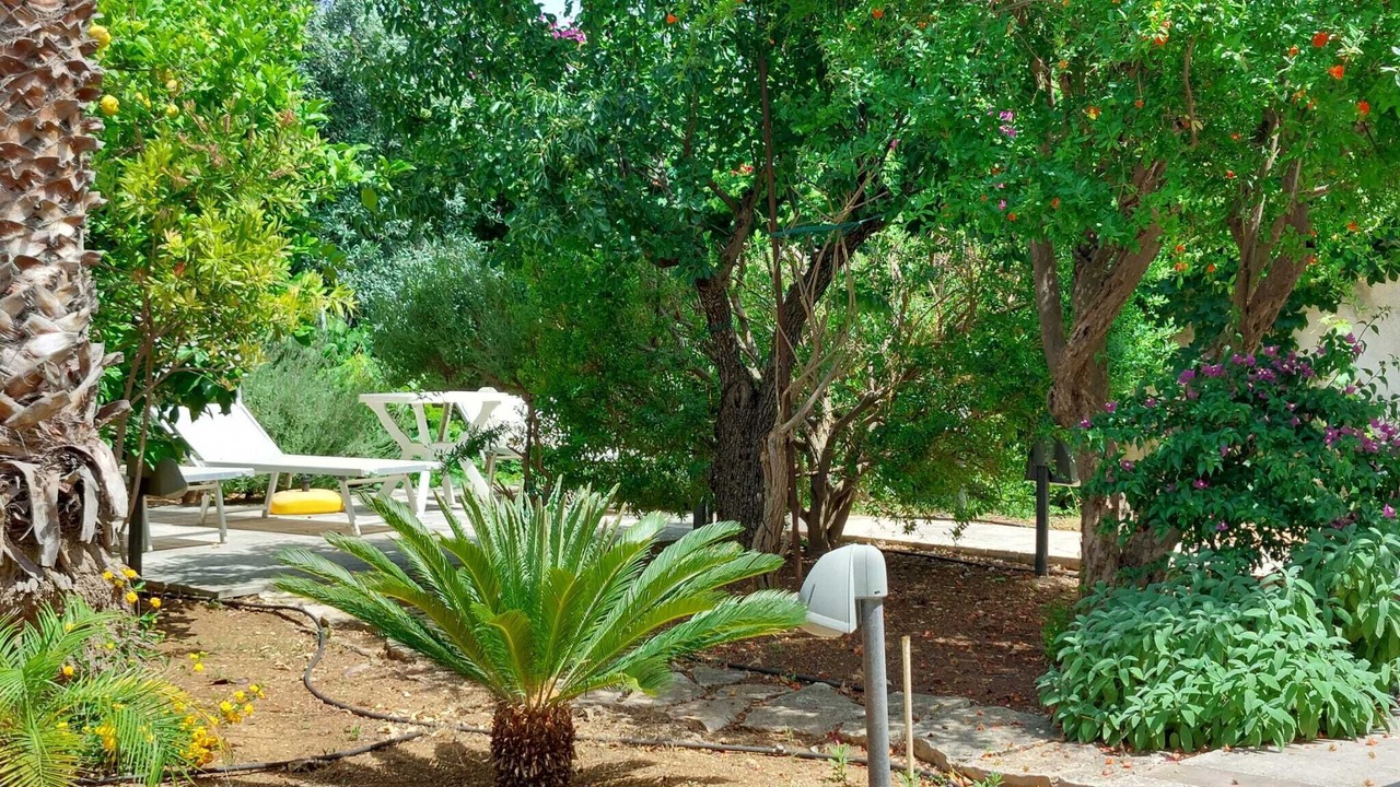 Photo of Outdoor in Valderice