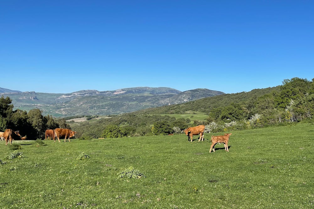 Photo of Outdoor in Contessa Entellina
