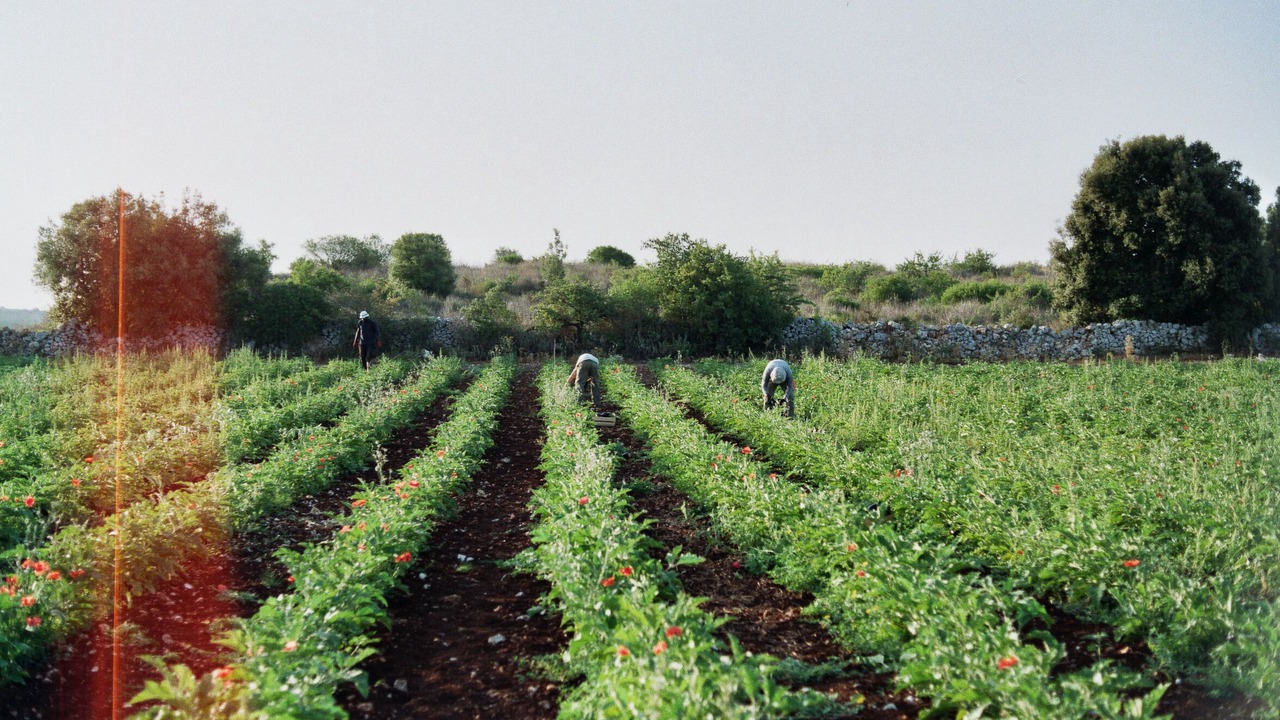 Photo of Outdoor in Noto