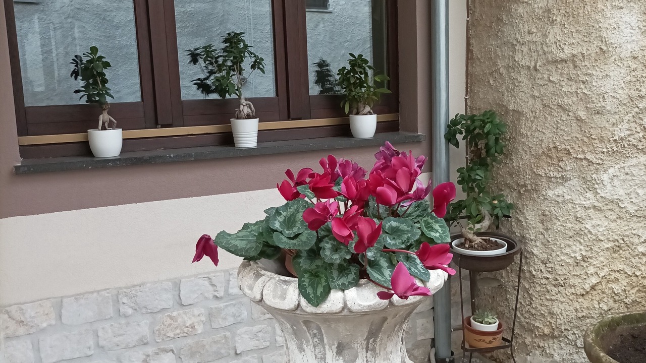 Photo of Outdoor in Montoro