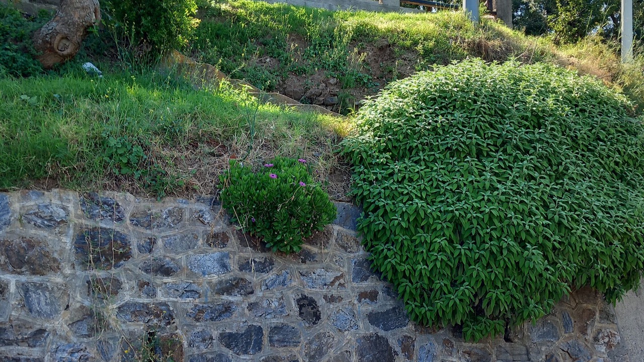 Photo of Outdoor in Gioiosa Marea