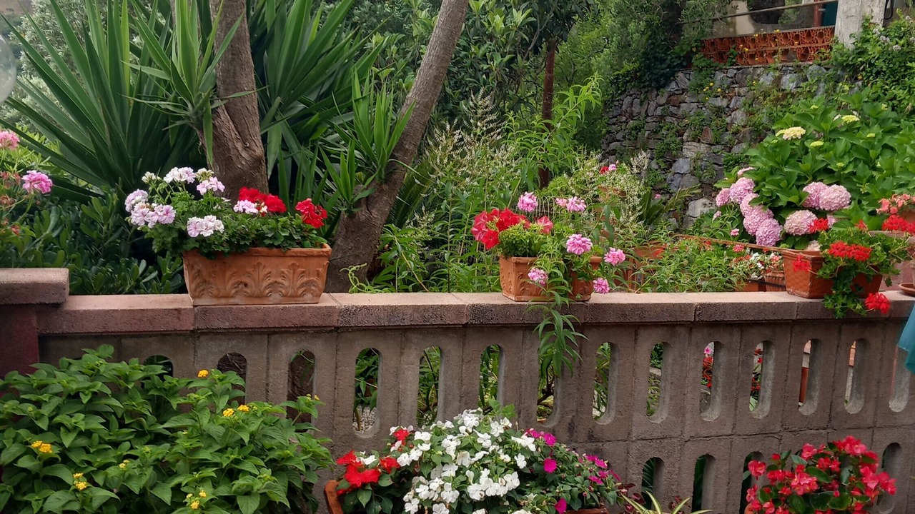 Photo of Outdoor in Gioiosa Marea