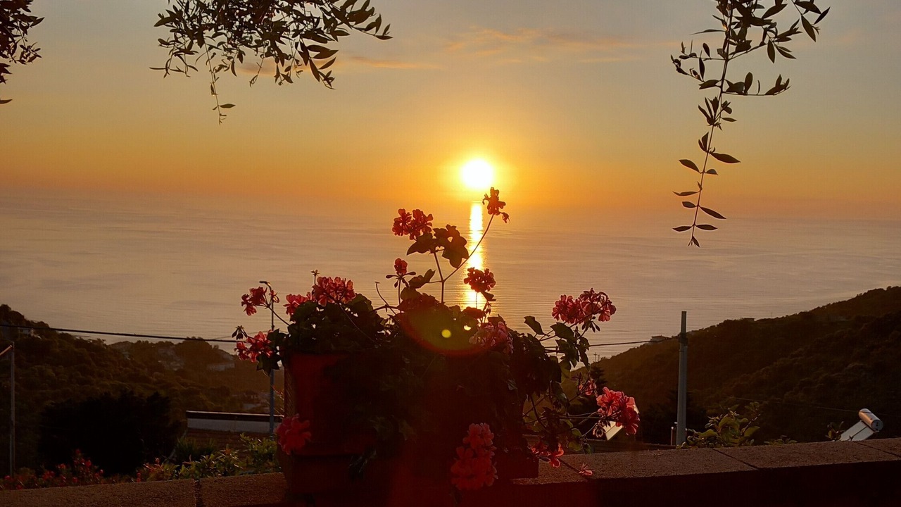 Photo of Outdoor in Gioiosa Marea