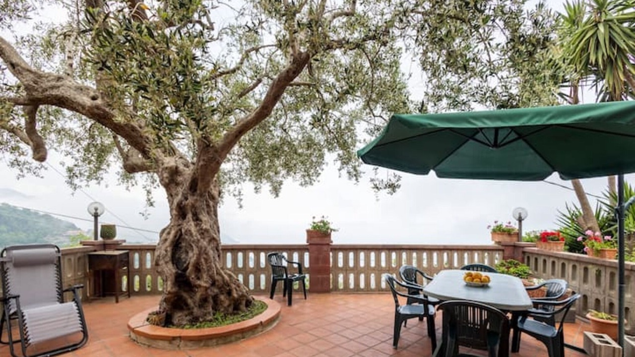 Photo of Outdoor in Gioiosa Marea