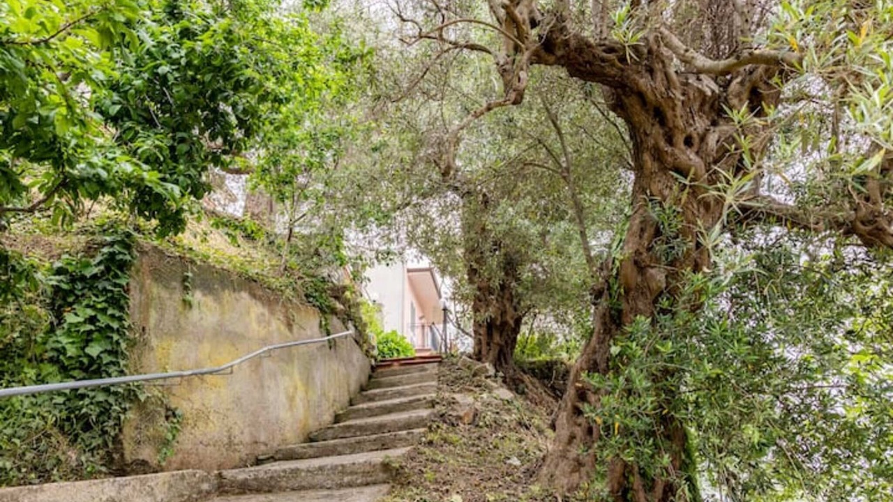 Photo of Outdoor in Gioiosa Marea
