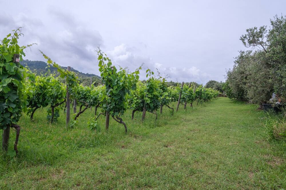 Photo of Outdoor in Province of Messina