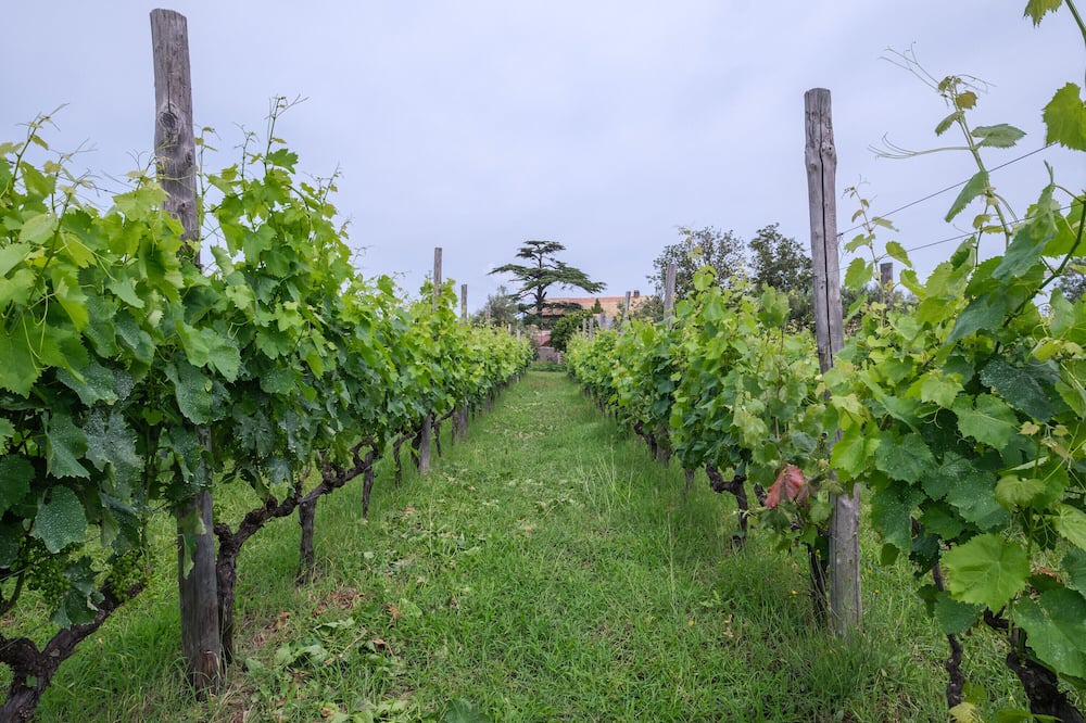 Photo of Outdoor in Province of Messina