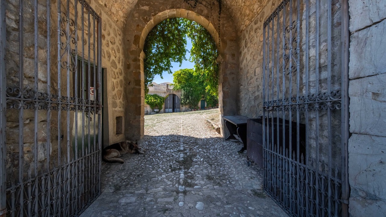 Photo of Outdoor in Raffo