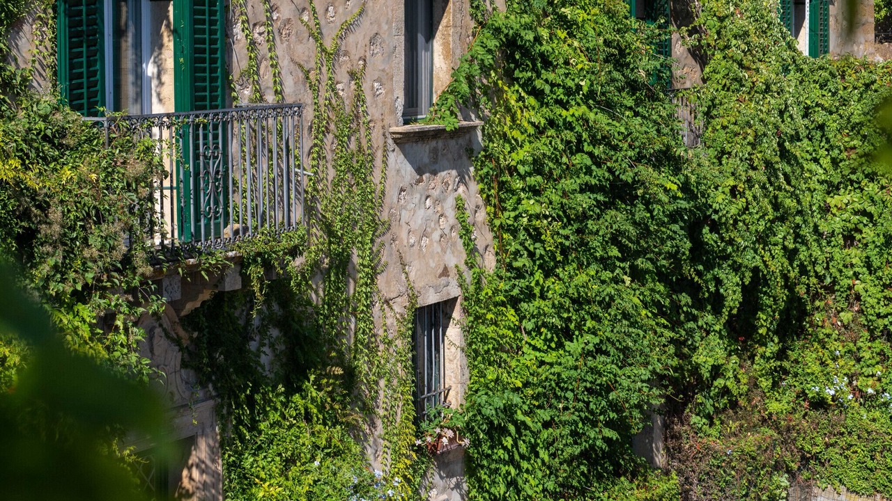 Photo of Outdoor in Raffo