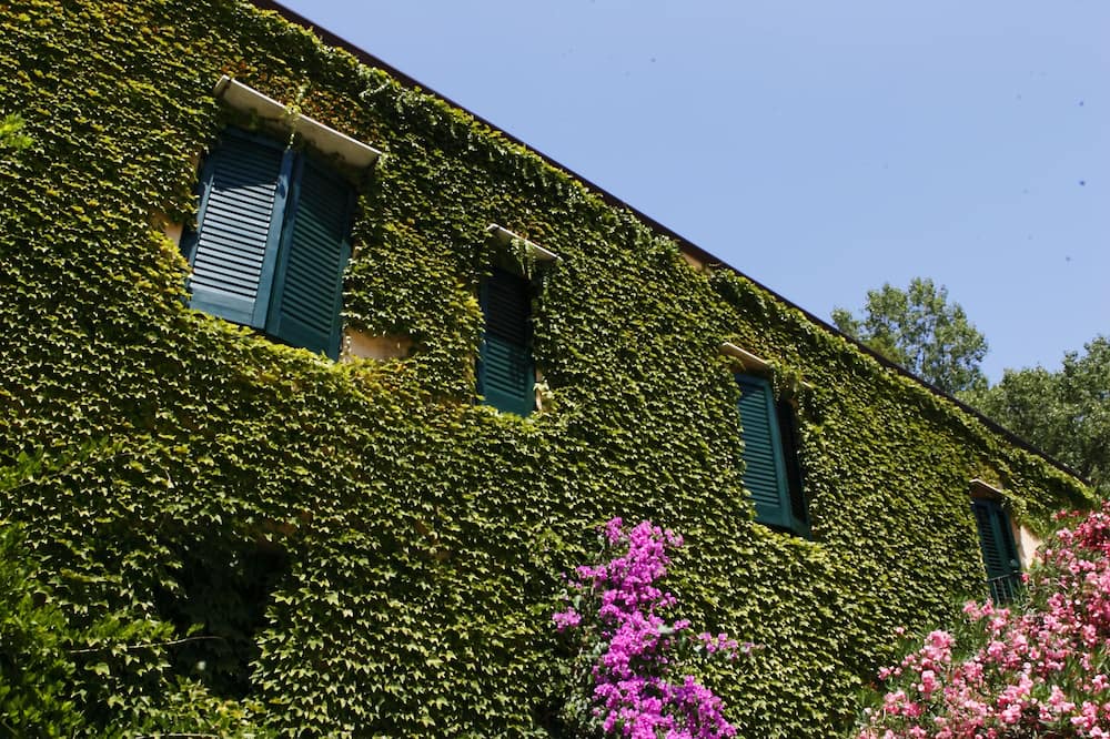 Photo of Outdoor in Corleone