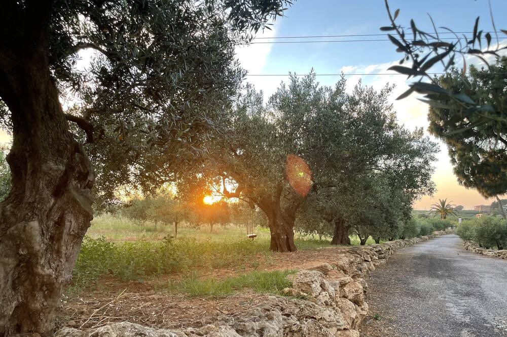 Photo of Outdoor in Partinico
