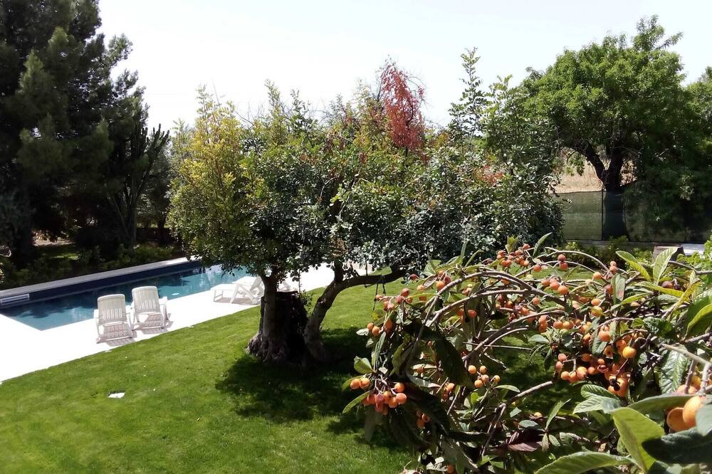 Photo of Outdoor in Rosolini