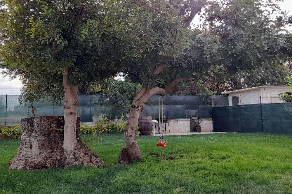 Photo of Outdoor in Rosolini