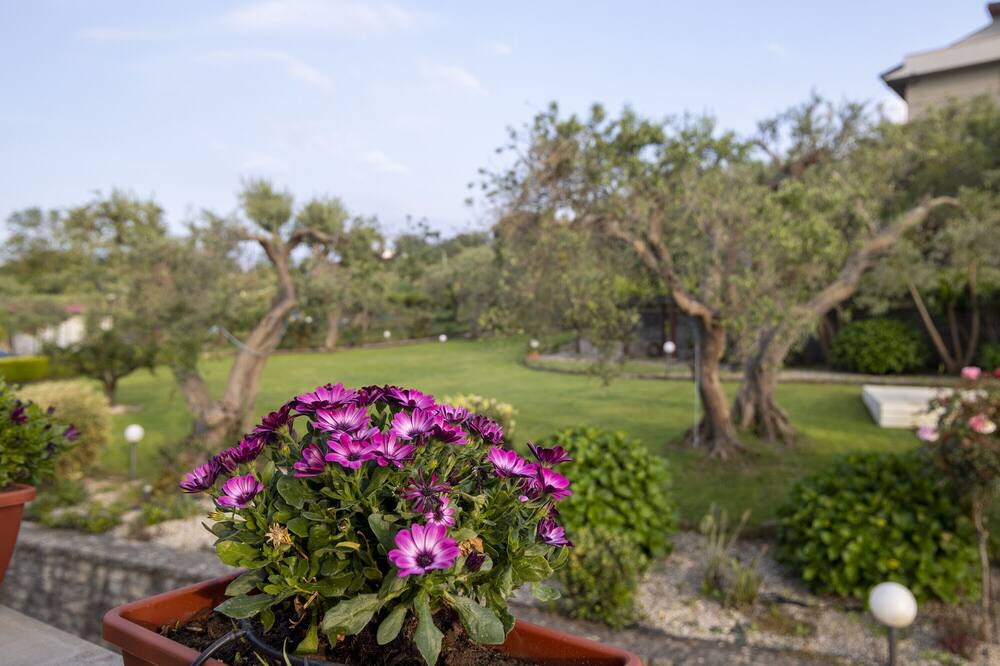Photo of Outdoor in Naso