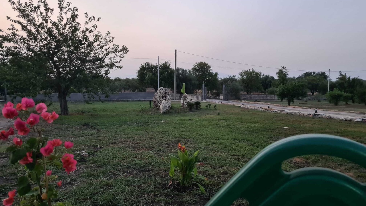 Photo of Outdoor in Melilli