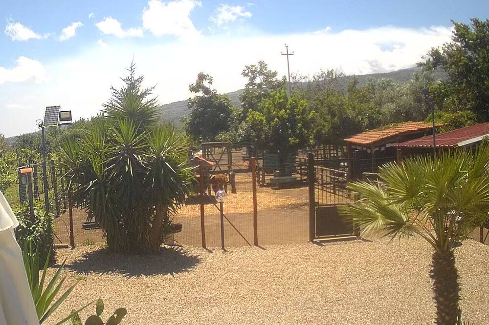 Photo of Outdoor in Linguaglossa