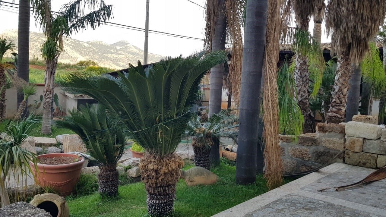 Photo of Outdoor in Partanna