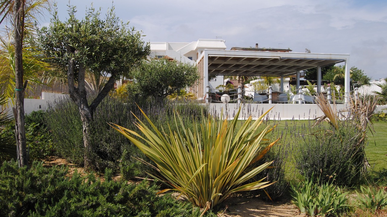 Photo of Outdoor in Gela