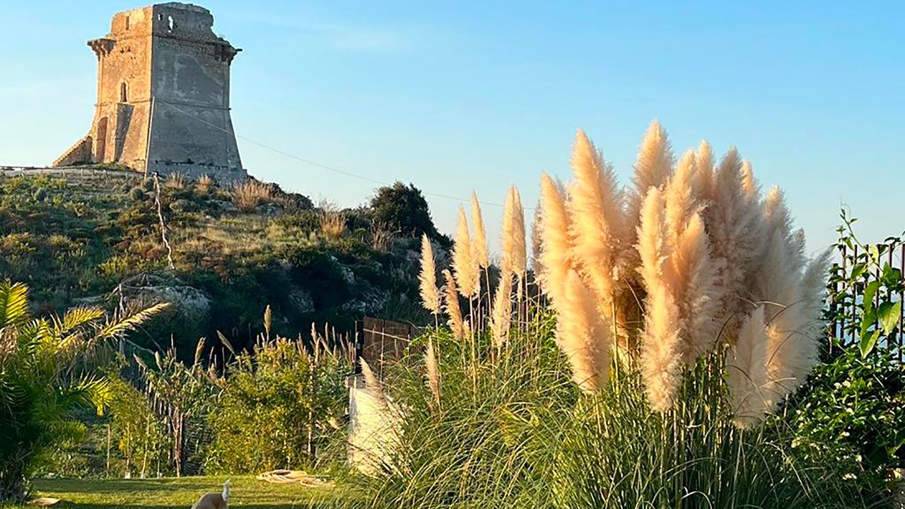 Photo of Outdoor in Gela