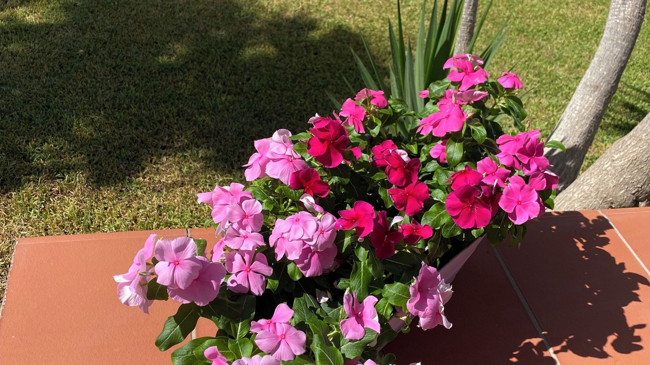 Photo of Outdoor in Plemmirio