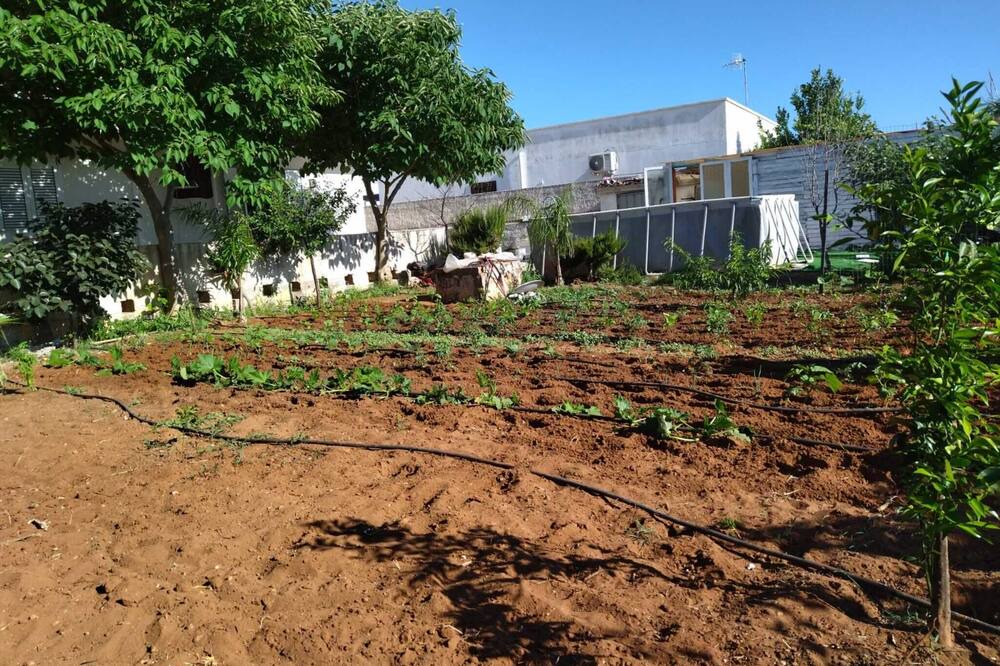 Photo of Outdoor in Castelvetrano