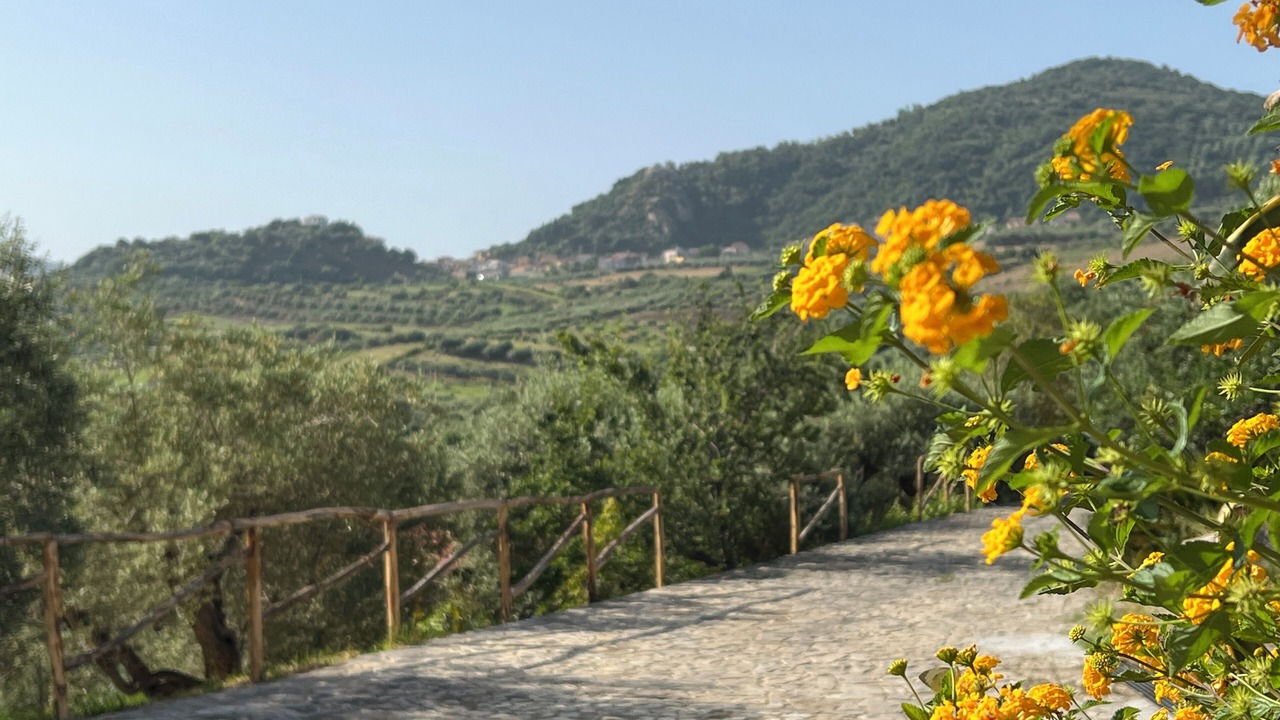 Photo of Outdoor in Rodi Milici