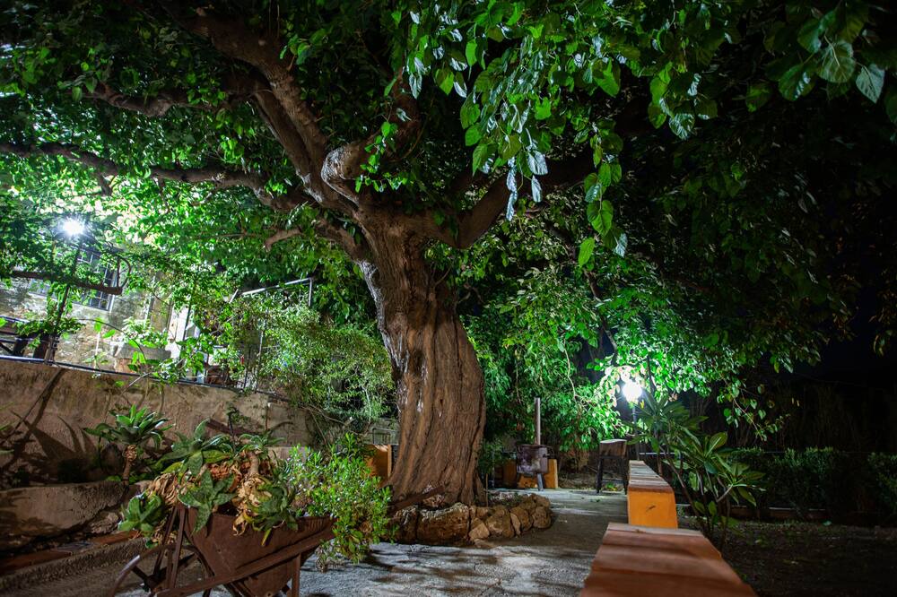Photo of Outdoor in Scillato