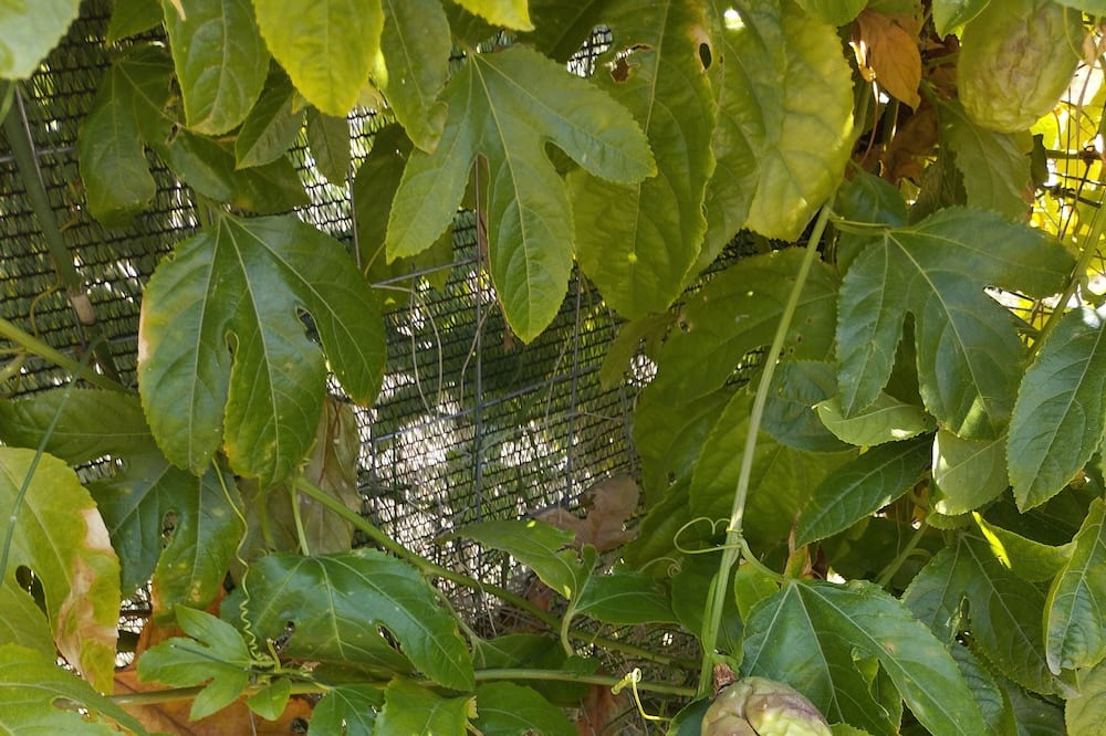 Photo of Outdoor in Scillato