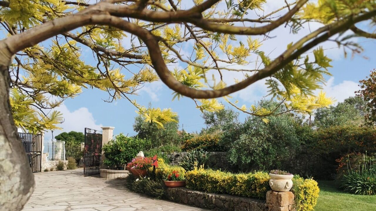 Photo of Outdoor in Melilli