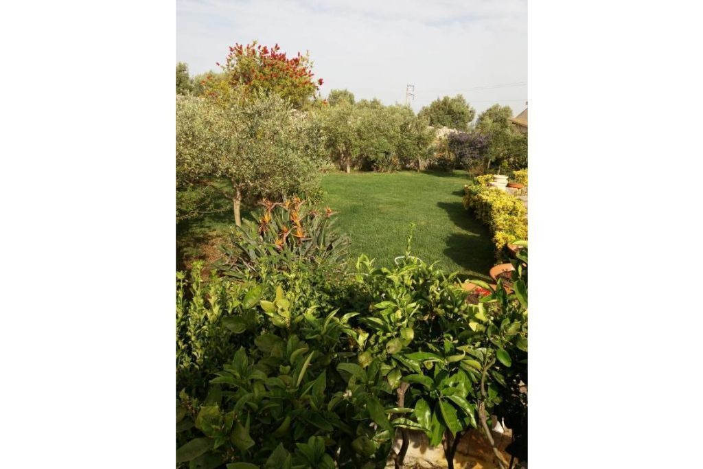 Photo of Outdoor in Melilli