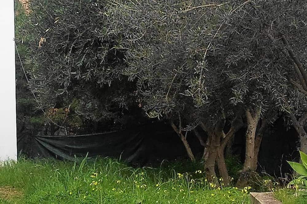 Photo of Outdoor in Torre Colonna-sperone