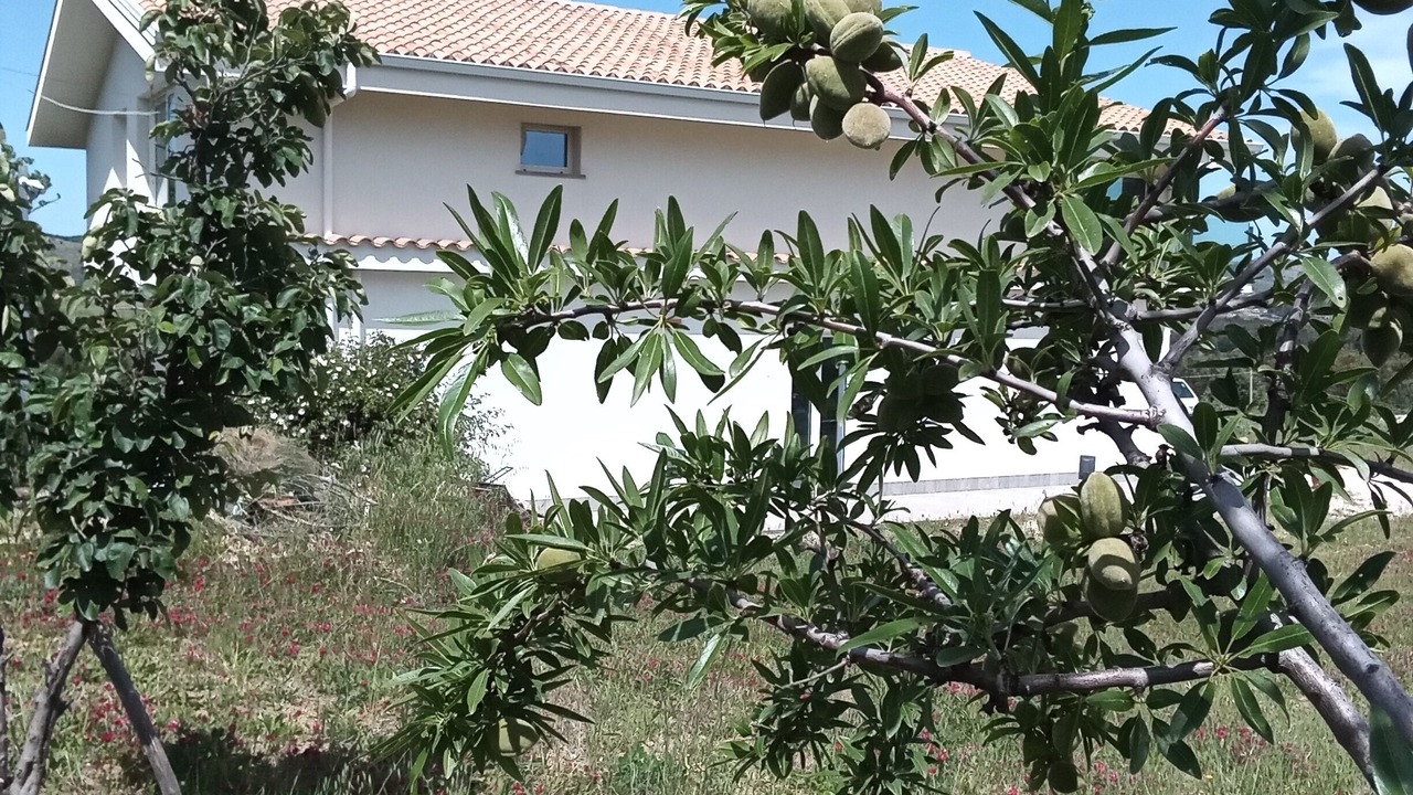 Photo of Outdoor in Piana degli Albanesi