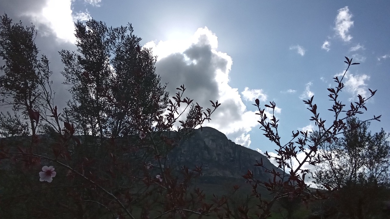 Photo of Others in Piana degli Albanesi