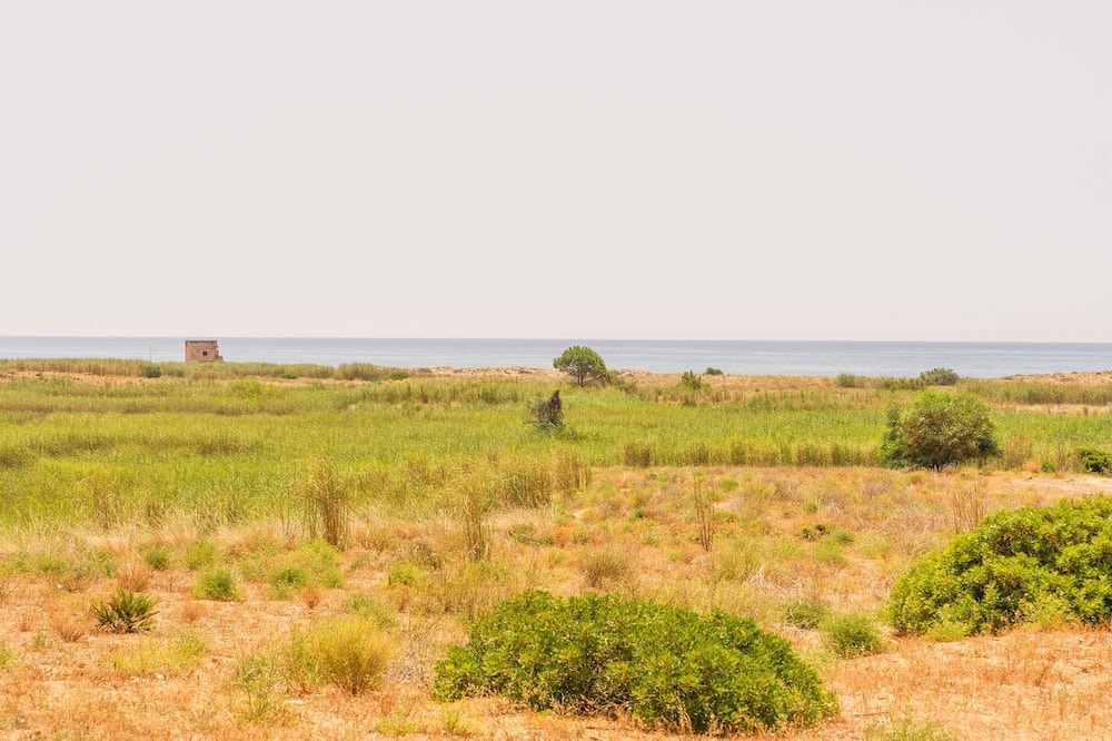 Photo of Others in Marinella di Selinunte