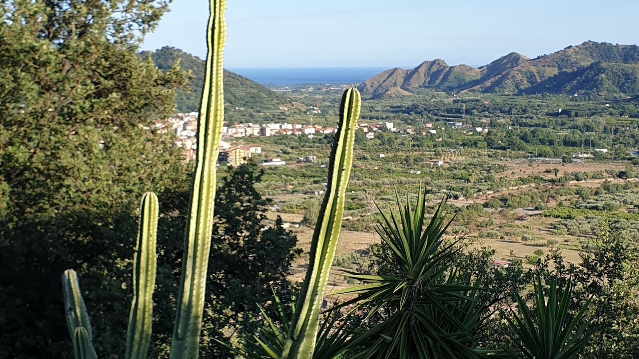 Photo of Outdoor in Mitogio