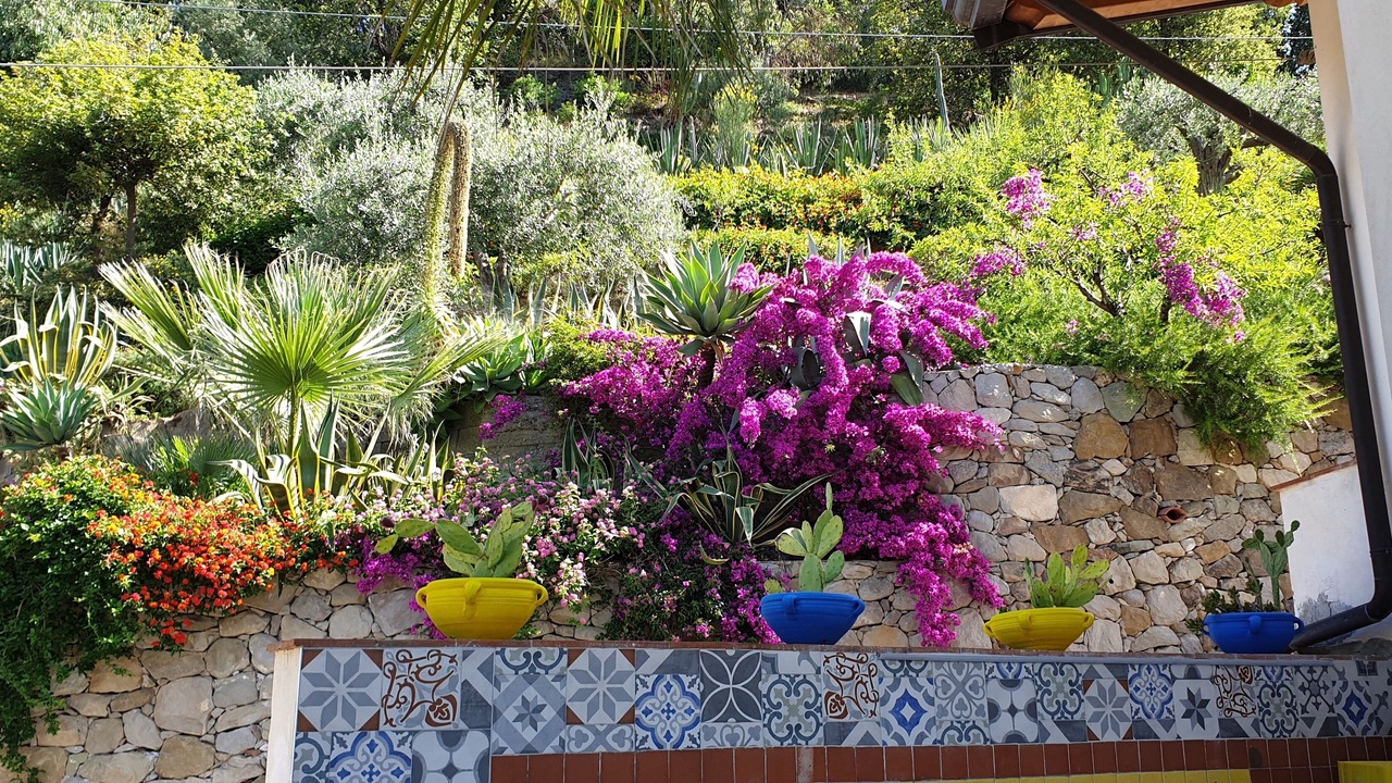Photo of Outdoor in Mitogio