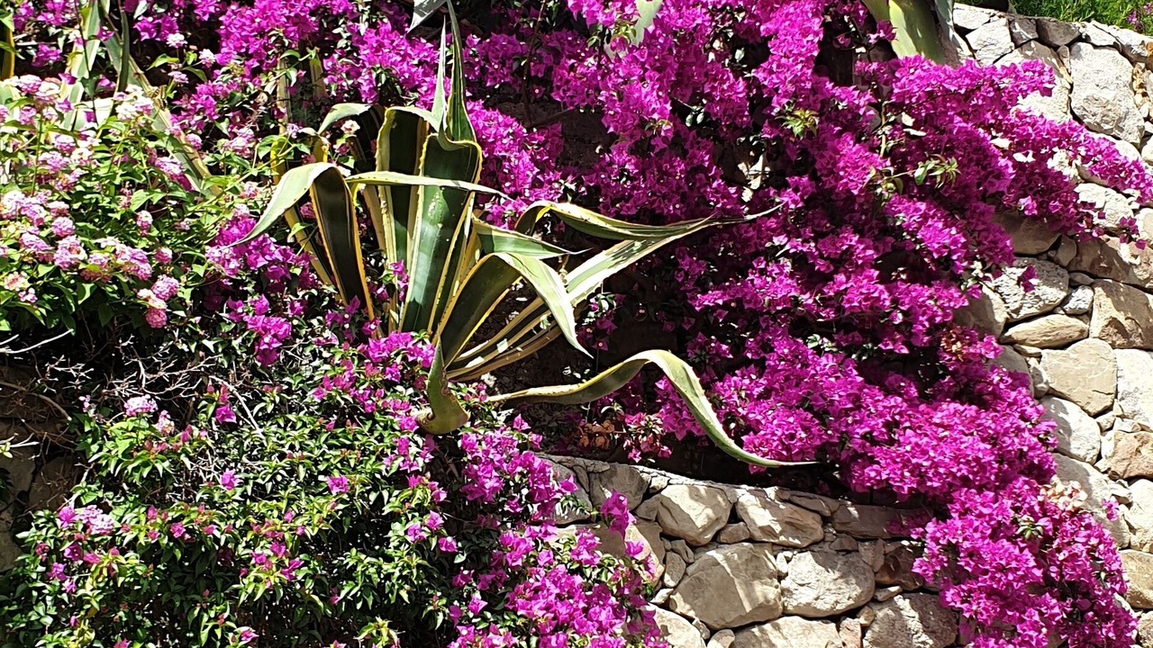 Photo of Outdoor in Mitogio