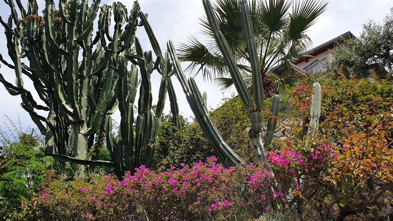 Photo of Outdoor in Mitogio