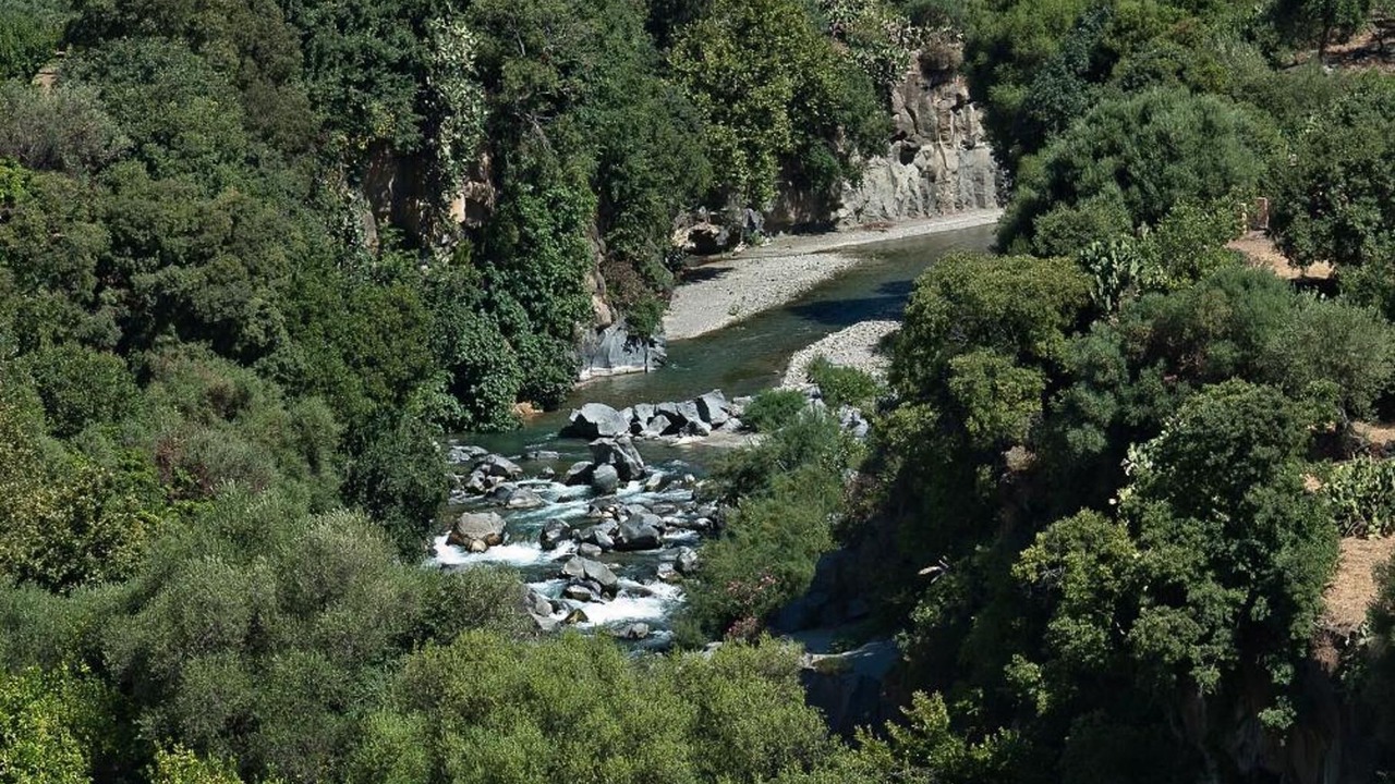 Photo of Outdoor in Mitogio