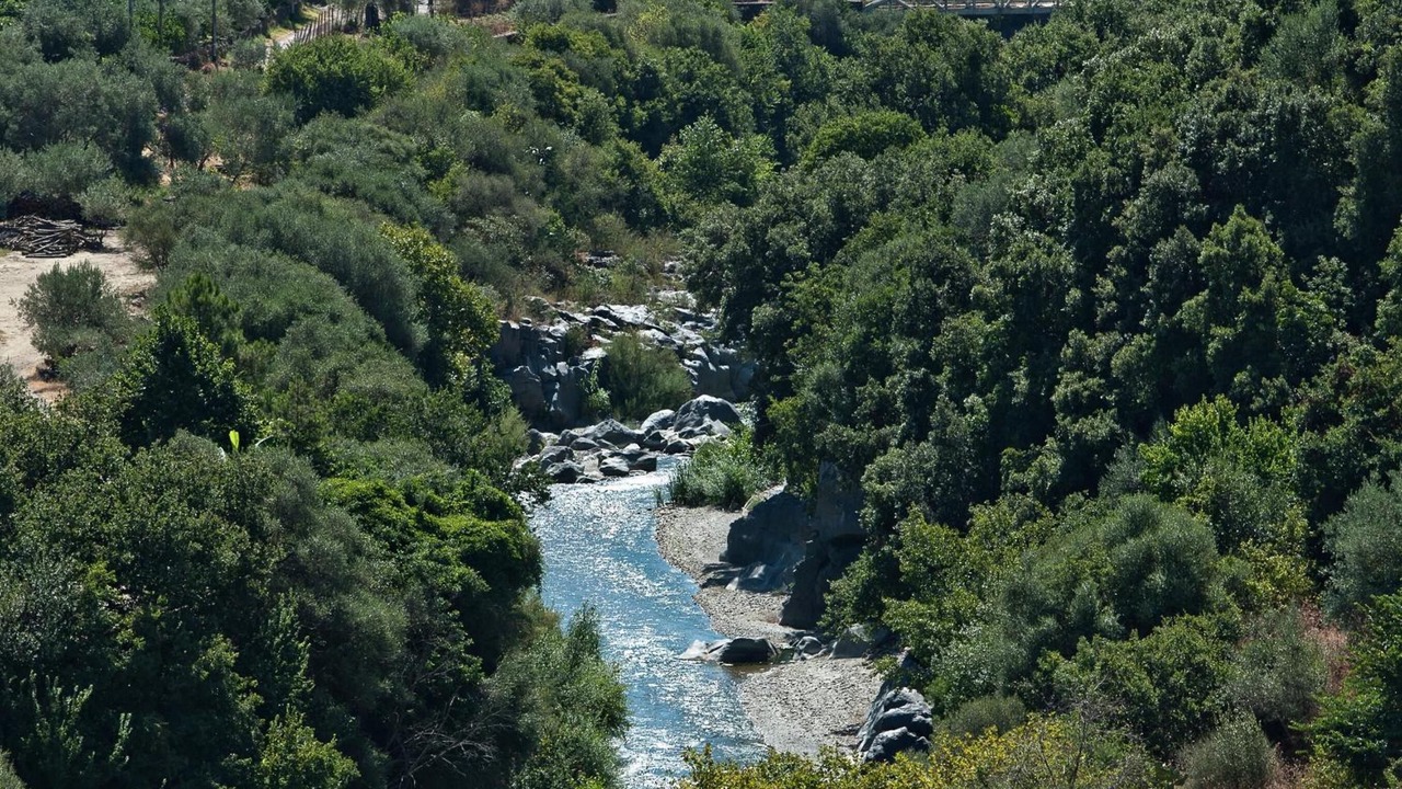 Photo of Outdoor in Mitogio