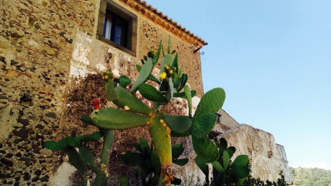Photo of Outdoor in Mitogio