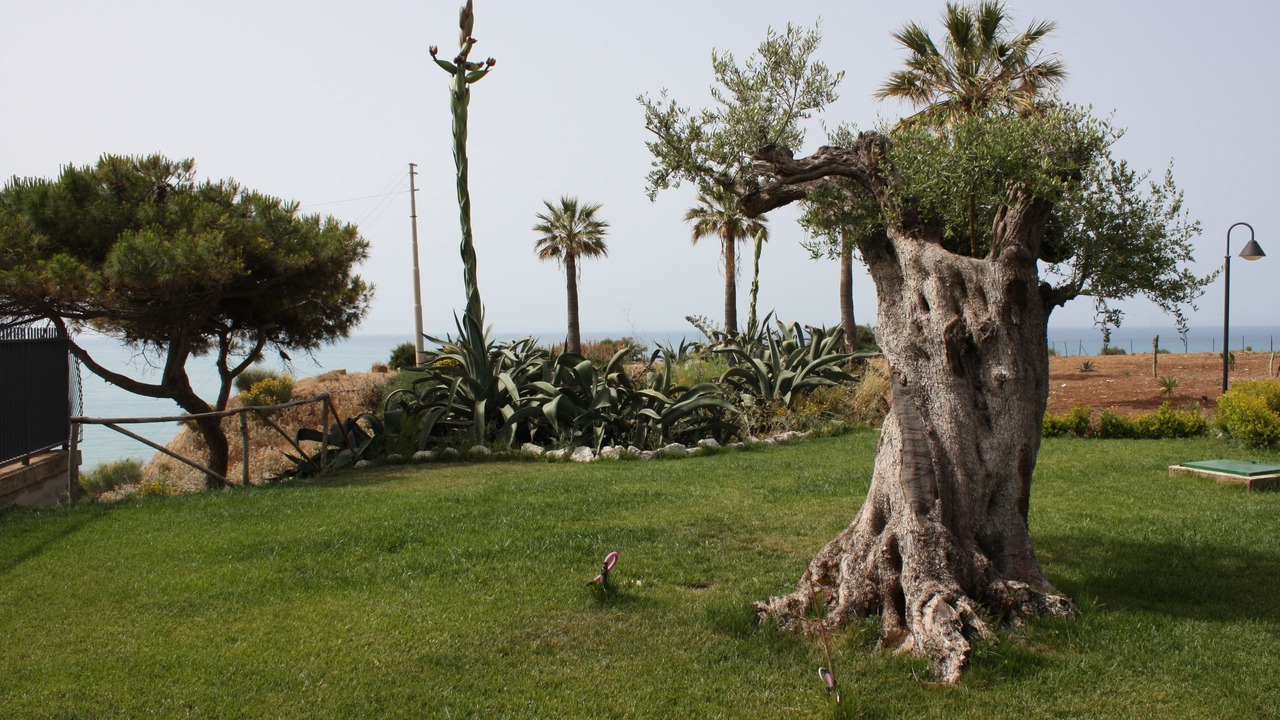 Photo of Outdoor in Porto Empedocle