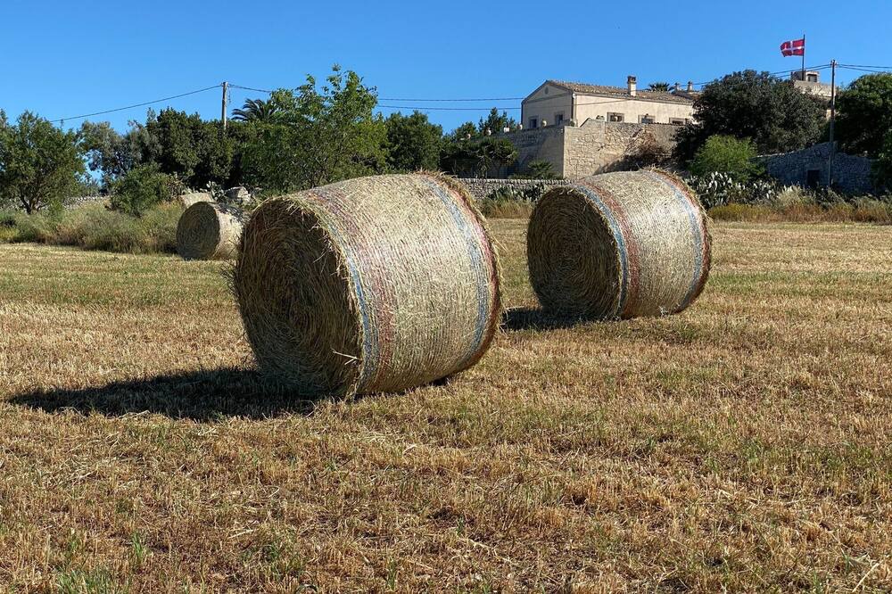 Photo of Others in Ragusa
