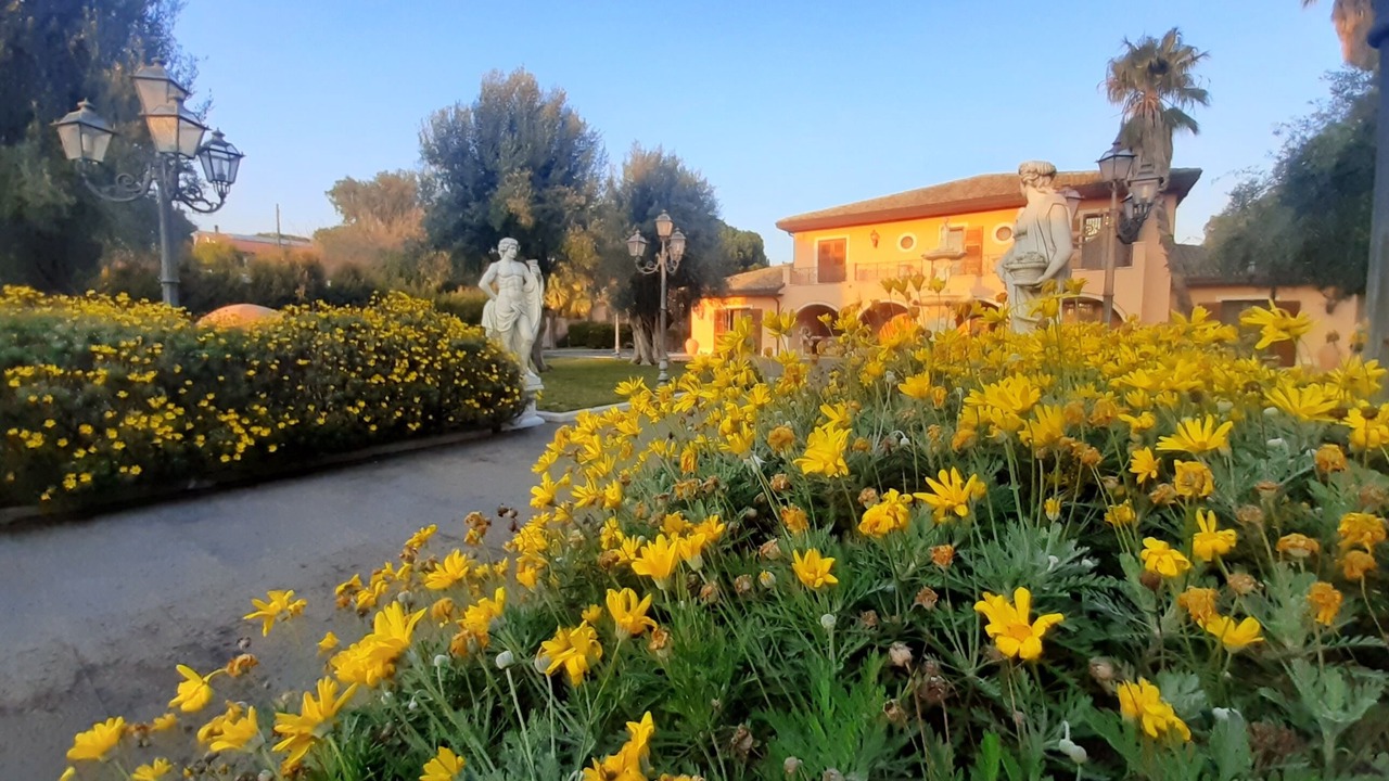 Photo of Outdoor in Mascalucia