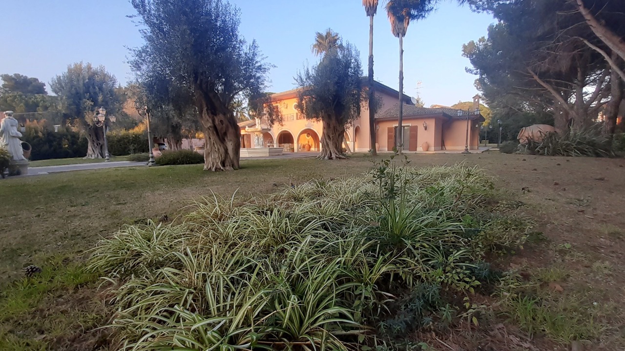 Photo of Outdoor in Mascalucia
